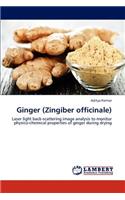 Ginger (Zingiber Officinale)