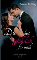 Du bist gefährlich für mich - Dunkle Begierden Teil 2 von 4
