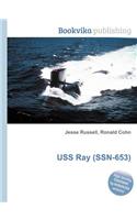 USS Ray (Ssn-653)