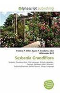 Sesbania Grandiflora: (English)
