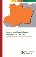Análise das Movelarias do Município de Parintins