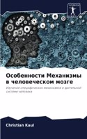 Особенности Механизмы в человеческом моз