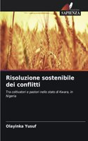 Risoluzione sostenibile dei conflitti