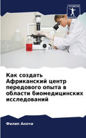 Как создать Африканский центр передового
