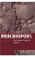 Brachiopods