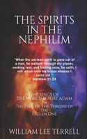 Spirits in The Nephilim - The Kings of The Earth Before Adam