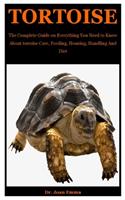 Tortoise