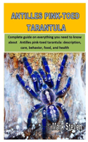 Antilles Pink-Toed Tarantula: Complete guide on everything you need to know about Antilles pink-toed tarantula; description, care, behavior, food, and health