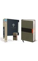 NIV, Student Bible, Compact, Leathersoft, Gray/Green