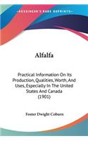 Alfalfa