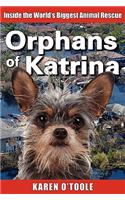 Orphans of Katrina