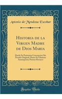 Historia de la Virgen Madre de Dios Maria: Desde Su Purissima Concepcion Sin Pecado Original, Hasta Su Gloriosa Assumpcion; Poema Heroyco (Classic Reprint): Desde Su Purissima Concepcion Sin Pecado Original, Hasta Su Gloriosa Assumpcion; Poema Heroyco (Classic Reprint)