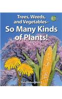 Trees, Weeds, and Vegetables: So Many Kinds of Plants!