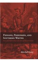 Fenians, Freedmen, and Southern Whites