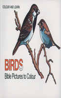 Bible Birds