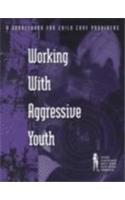 Working with Aggressive Youth in Open Settings