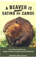 Beaver is Eating My Canoe