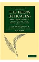 The Ferns (Filicales): Volume 1, Analytical Examination of the Criteria of Comparison