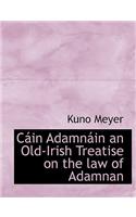 C in Adamn in an Old-Irish Treatise on the Law of Adamnan