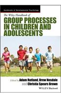 The Wiley Handbook of Group Processes in Children and Adolescents
