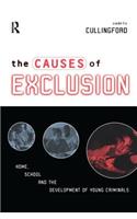 The Causes of Exclusion