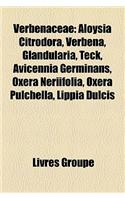 Verbenaceae