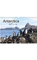 Antarctica (UK - Version) 2017