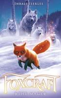 The Mage: (3 Foxcraft)