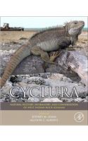 Cyclura