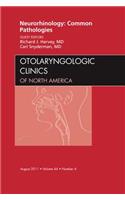 Neurorhinology: Common Pathologies, an Issue of Otolaryngologic Clinics