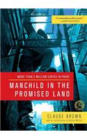 Manchild in the Promised Land
