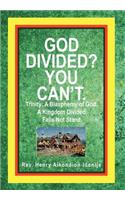 God Divided? You Can't.: Trinity: A Blasphemy of God. a Kingdom Divided, Falls Not Stand.