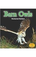 Night Safari Barn Owls Nocturnal Hunters