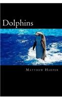Dolphins