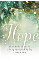 Hope Image Advent Bulletin (Pkg of 50)