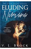 Eluding Nirvana