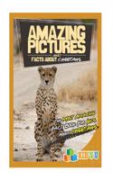 Amazing Pictures and Facts about Cheetahs: The Most Amazing Fact Book for Kids about Cheetahs