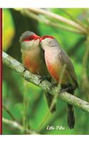 Ethi Pike - Lovebirds Notebook / Extended Lines / Soft Matte Cover: An Ethi Pike Collectible Journal