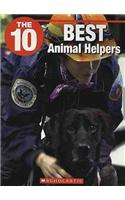 The 10 Best Animal Helpers
