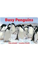 Busy Penguins