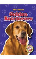 Golden Retrievers