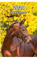 2020 Weekly Planner