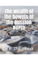 The wealth of the bowels of the Russian North