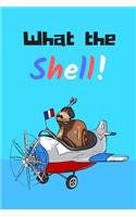 What the shell! - Notebook