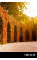 Notebook: Autunno, Colori, Sole, Cadono Le Foglie taccuino / agenda / quaderno delle annotazioni / diario / libro di scrittura / carnet / zibaldone - 6 x 9 po