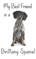My best Friend is a Brittany Spaniel