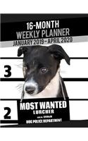 2019-2020 Weekly Planner - Most Wanted Lurcher: Daily Diary Monthly Yearly Calendar Large 8.5" x 11" Schedule Journal Organizer Notebook Appointment(20 Dog Planners 2019-2020)