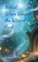 Netted Wisps Beneath the Wizard Curb