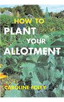 How to Plant Your Allotment