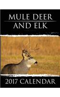 Mule Deer & Elk